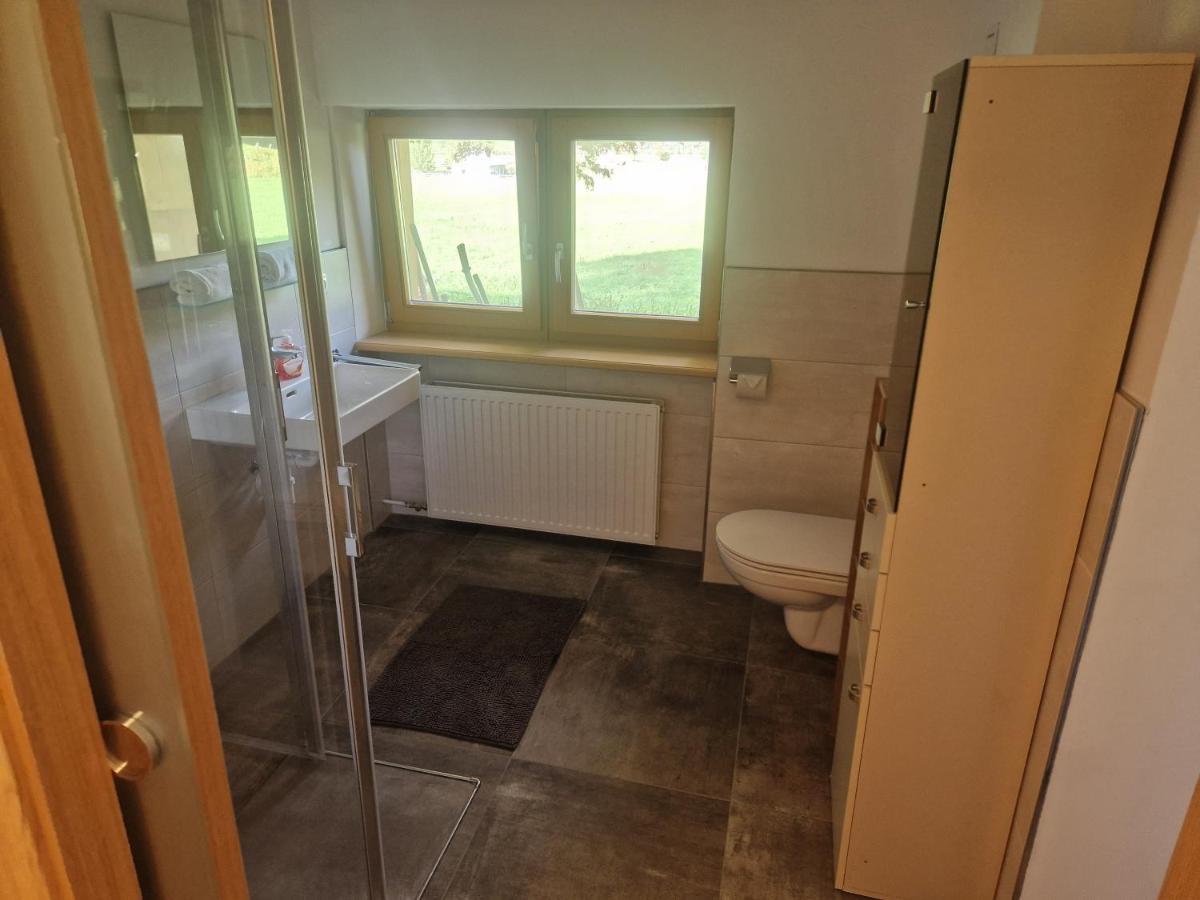 Oase Der Ruhe Apartman Hollersbach im Pinzgau Kültér fotó